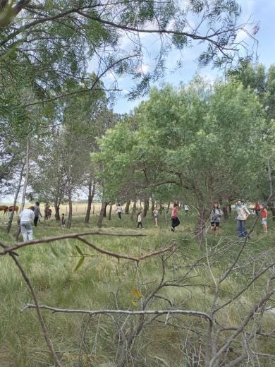 diadelafamilia2021 3