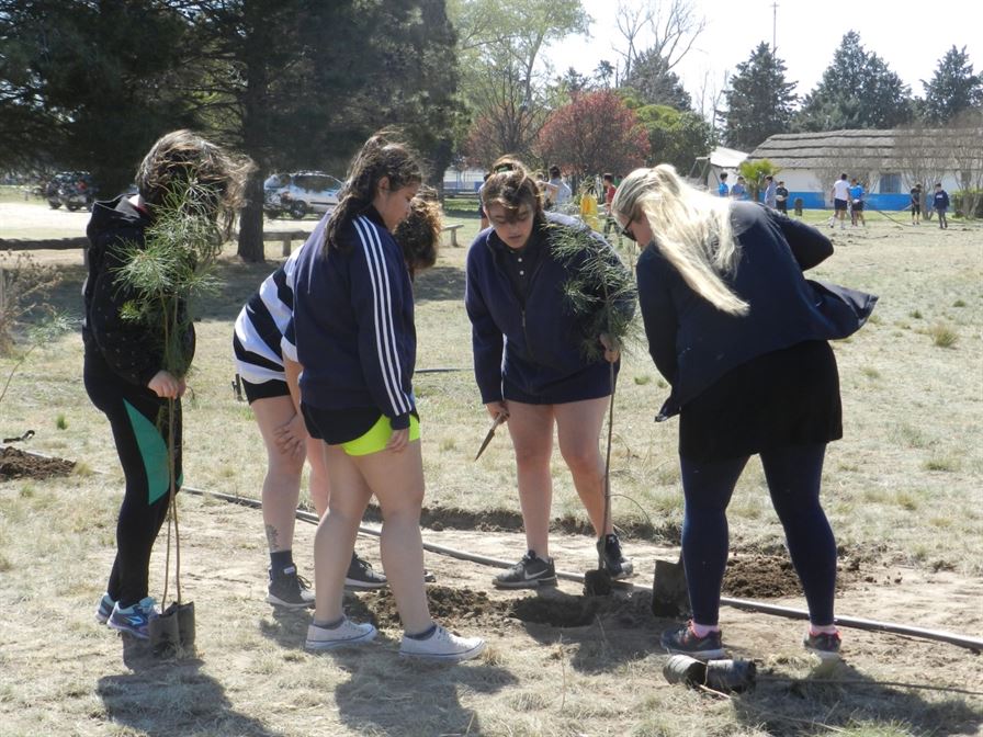 forestacionrugby 3