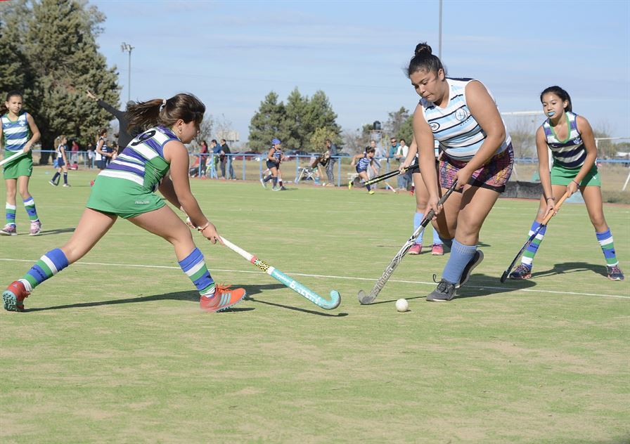 hockeyinfantil 5