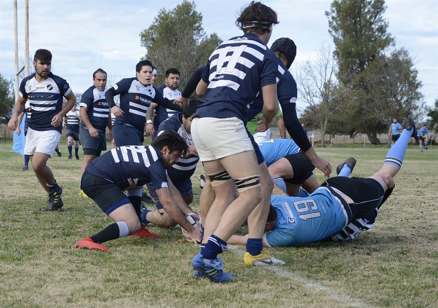 rugbyceleste 19